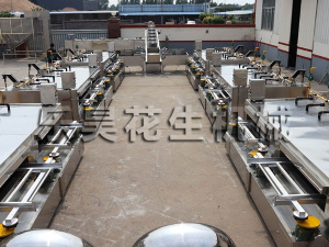 魚皮花生生產機械